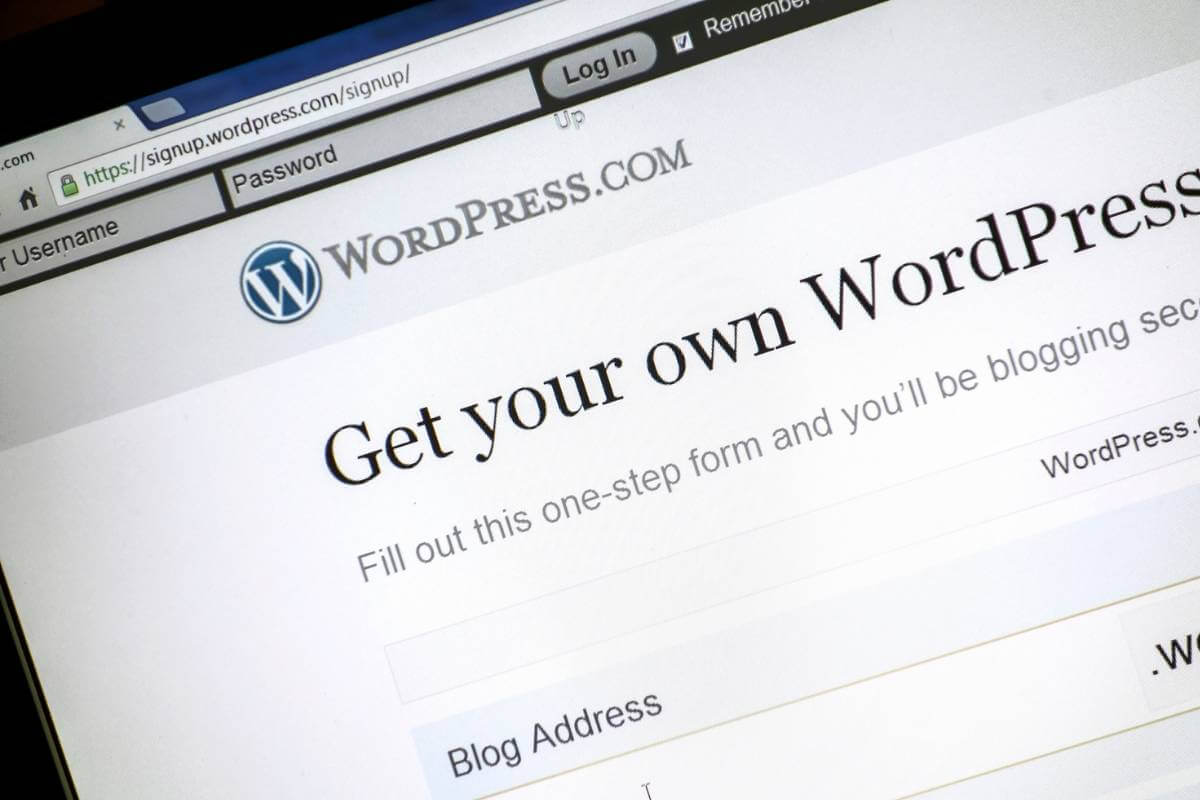 Should I Use WordPress For My Business Website? | Fifteen
