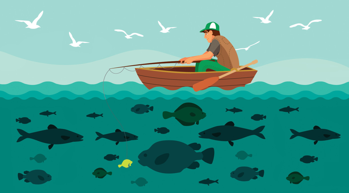 Fishing for Talent – We are on the Lookout!