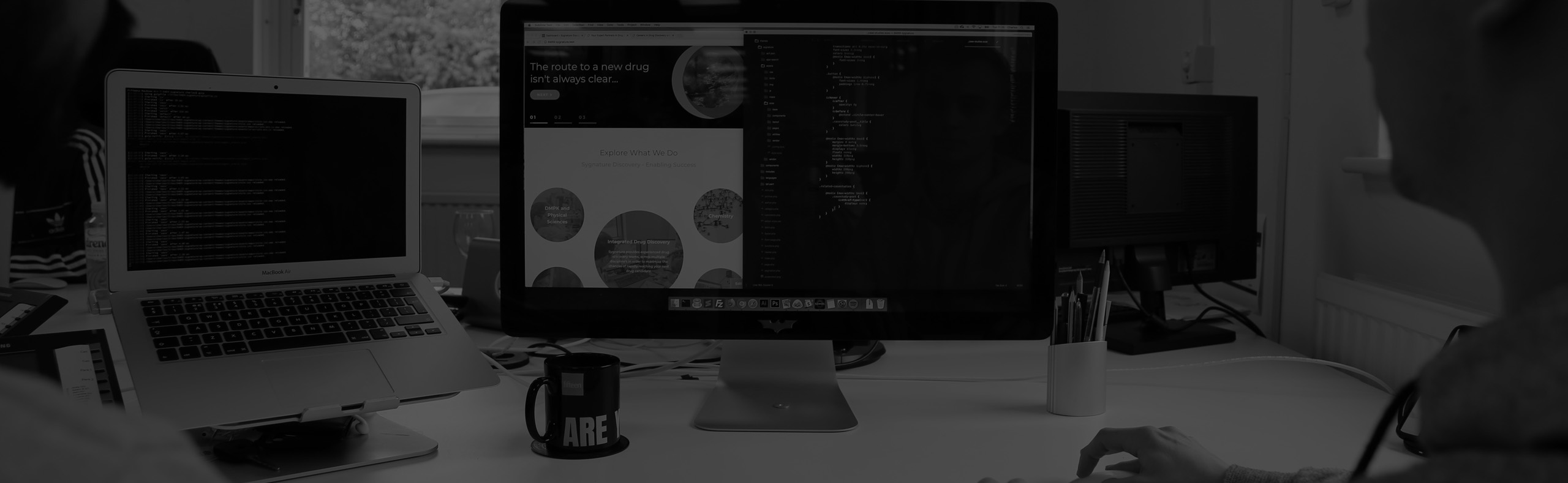 Bespoke web development and CRMs.