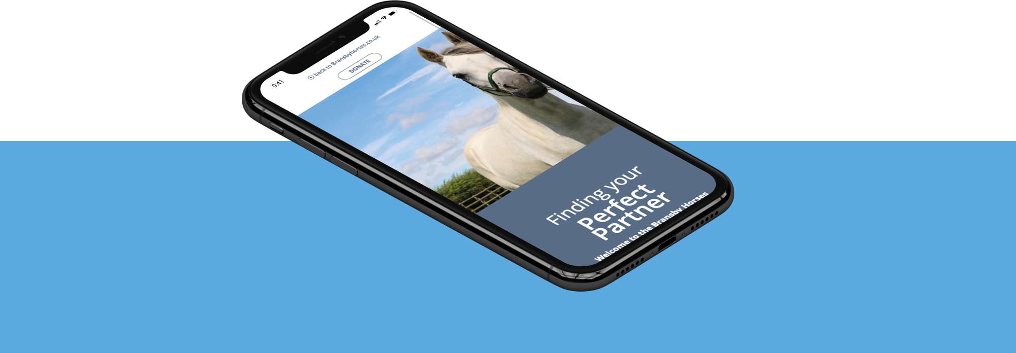 Microsite website design