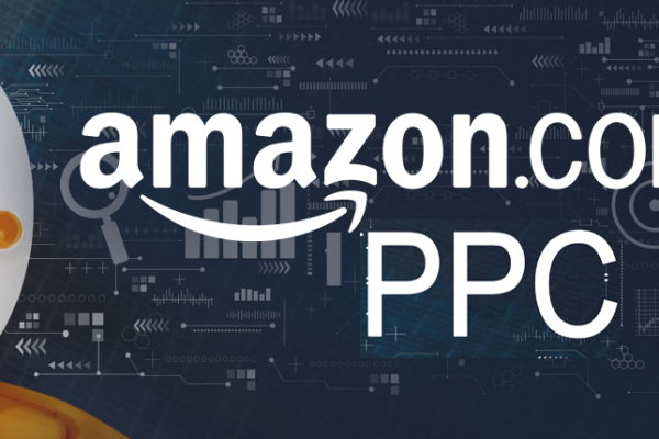 Protected: Amazon PPC Management