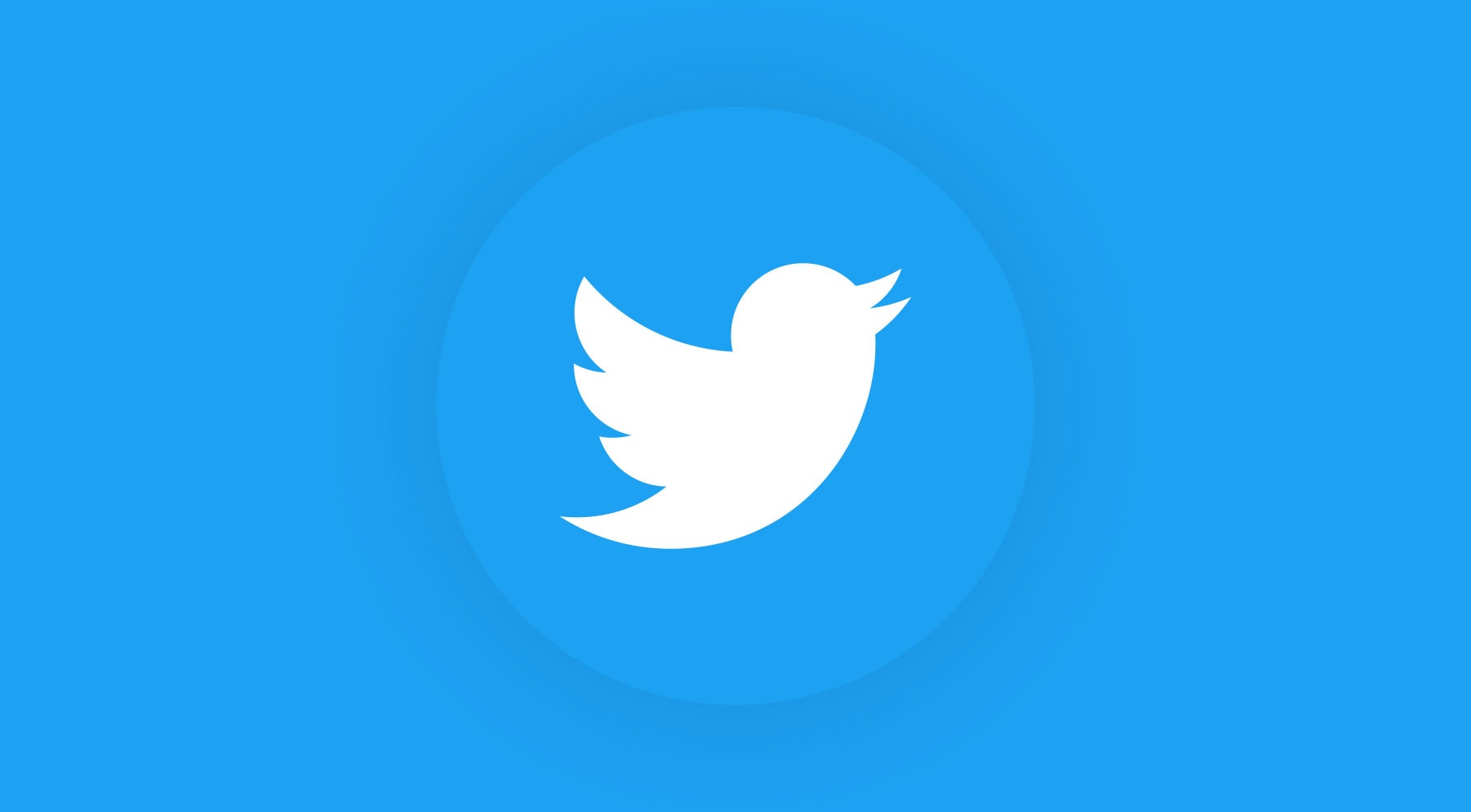 Twitter: A Snapshot in 2017