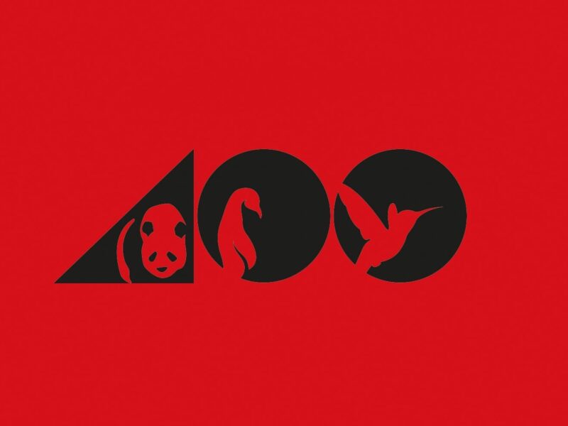 The Google Zoo – Panda, Penguin, and Hummingbird