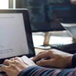 what-is-the-importance-of-web-development