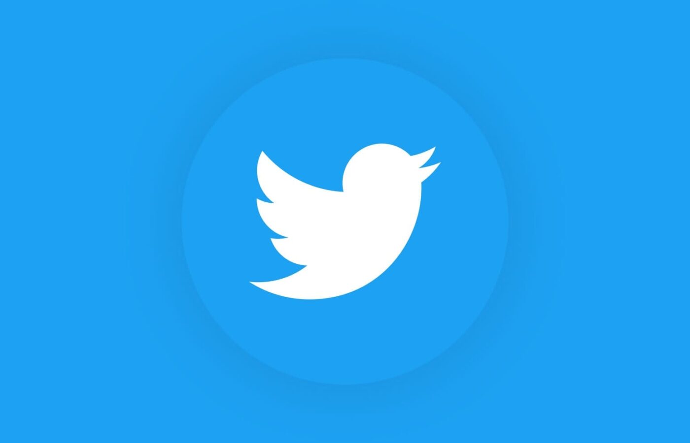 Twitter: A Snapshot in 2017