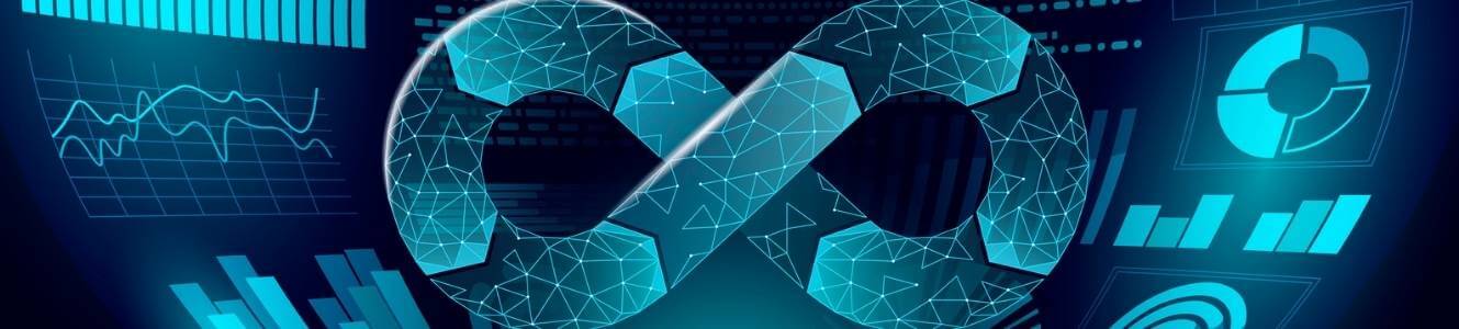What is the web development lifecycle?
