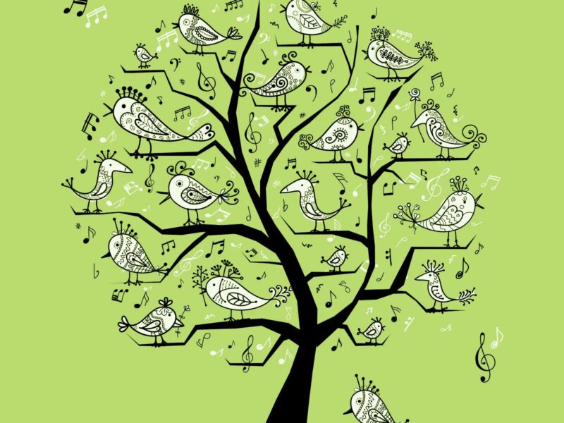 Using Twitter to Promote Your Business