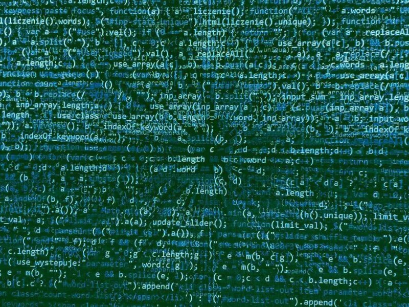 The Latest IONOS Scam: Domain Renewal