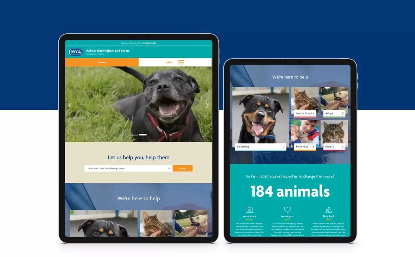 RSPCA web designers.
